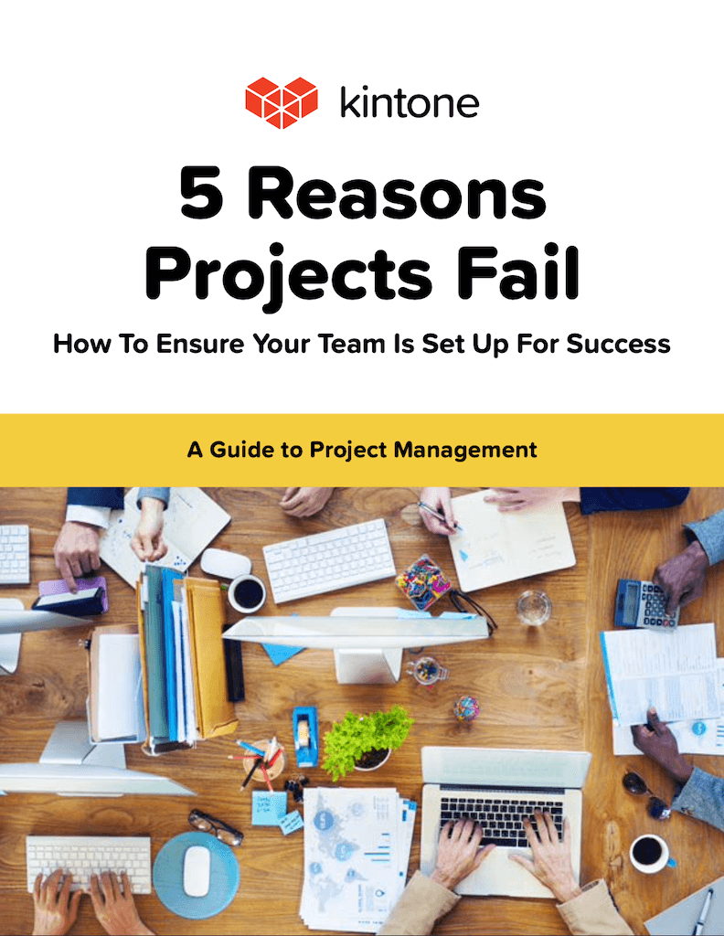 5 reasons projects fail cover